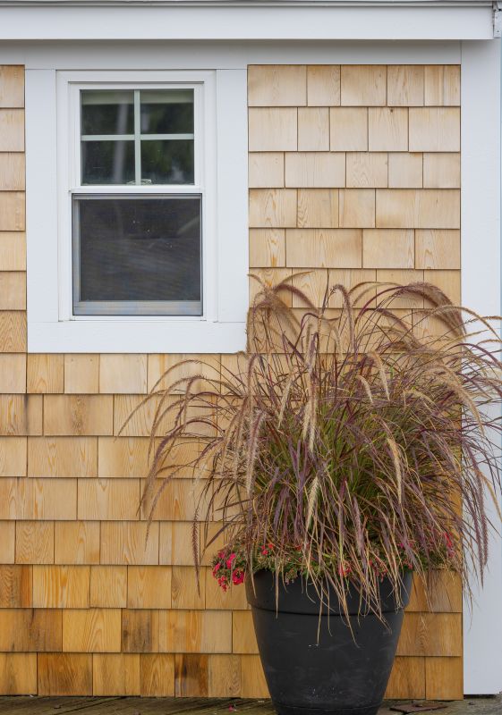 Cedar Siding Installation in College Grove, TN